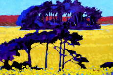 Early Kent Fields