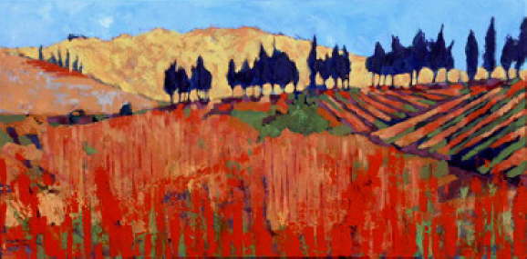 Near Carcassone 